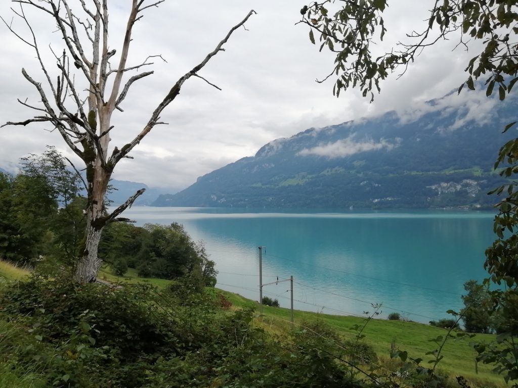 bord lac Interlaken